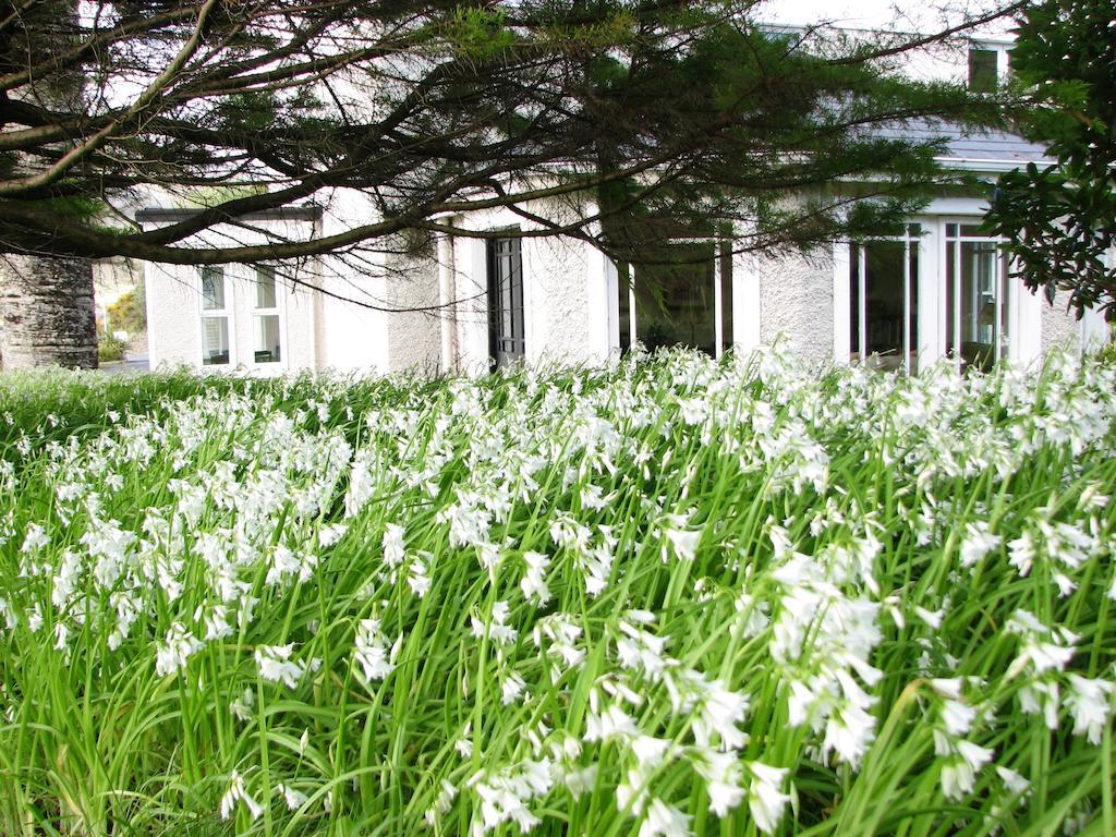 リーノーン The Convent Bed & Breakfast エクステリア 写真